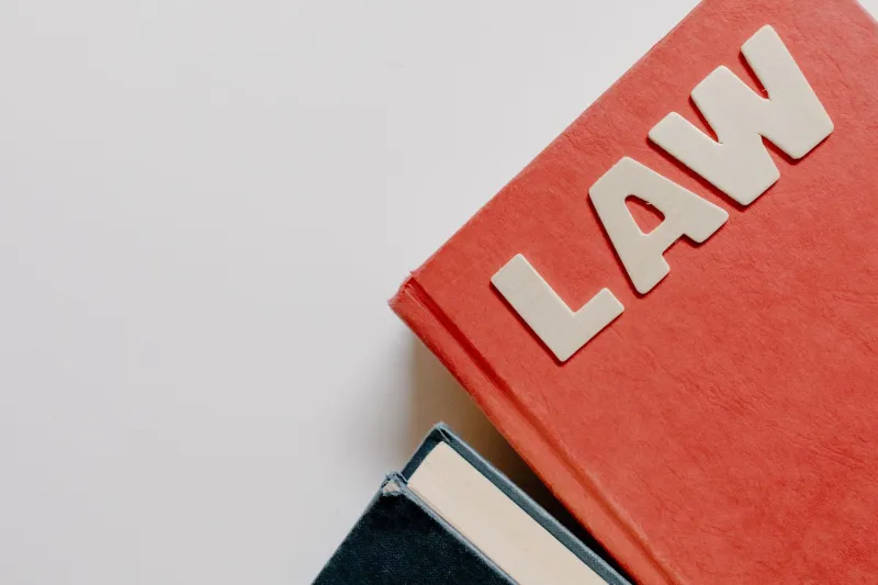 One Essay Strategy Does Not Fit All: Reading the Hidden Expectations of Your Academic Discipline